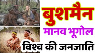 Bushman tribes  बुशमैन जनजाति निवास क्षेत्र अर्थव्यवस्था एवं सामाजिक व्यवस्था  manav bhugol [upl. by Allred275]