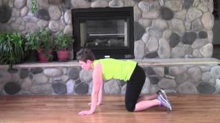 All Fours Abs Exercise [upl. by Verger]