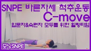 SNPE바른자세척추운동 Cmove 기본동작 입문자amp숙련자 모두를 위한 힐링타임입니다 [upl. by Lenej]