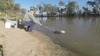 Returning to Katarapko  Carp and Callop fishing Nov 2023 Katarapkocreek Bigcarp [upl. by Keene]