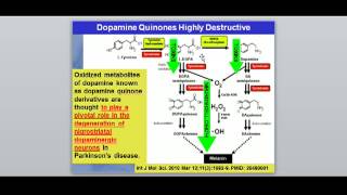 Methylation Dopamine and Parkinsons Disease [upl. by Saduj]