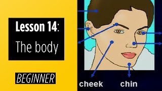 Beginner Levels  Lesson 14 The Body [upl. by Eelrebmik297]