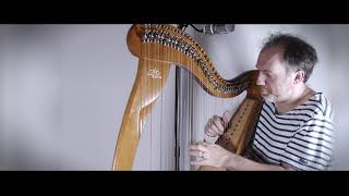 Day 90  Le Vieux  François Béranger  François Pernel  harp cover [upl. by Ambrosia]