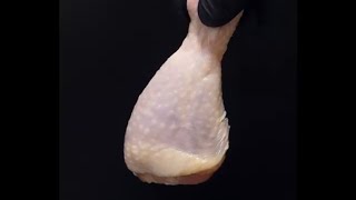 Vaporizing Chicken in Acid [upl. by Jessee562]