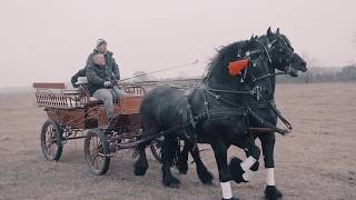 Boboteaza in Pietrosani  botezul cailor 2019 [upl. by Okoy]