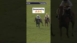 Denemethys Winning Streak at Wincanton [upl. by Araec]