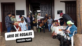 ARIO DE ROSALES VERSIÓN PIANO [upl. by Ees]