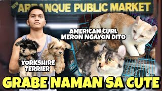 MGA BAGONG PETS SA ARRANQUE UPDATE NATIN  JULY 04 2024 [upl. by Josepha]