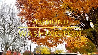 Redmond Washington  Living in Redmond  Seattle [upl. by Nylsaj580]