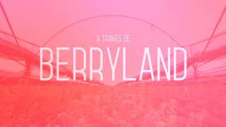 Berryland [upl. by Ingmar]