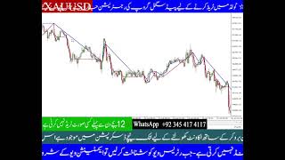 MT4 Trading Indicator Section Trend 315 [upl. by Notnirb594]