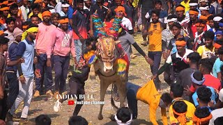 Top Bennegeri Horihabba 2024 Part 2 ಬೆಣ್ಣೆಗೇರಿ ಹೋರಿಹಬ್ಬ 2024  horihabba jallikattu [upl. by Secilu]