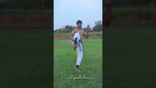 quotDOUBLE THE POWER  Front Kick amp Push Kick Tutorial for Martial Arts amp Self Defense [upl. by Pitt]