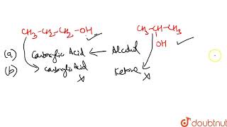 1propanol and 2propanol can be best distinguished by [upl. by Naej]