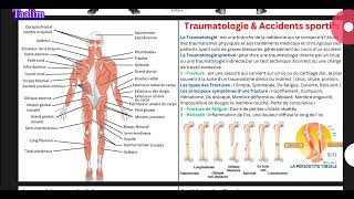 l anatomie  MÉOLOGIE ARTHROLOGIE  accidents sportives et secourismes [upl. by Atinnod799]