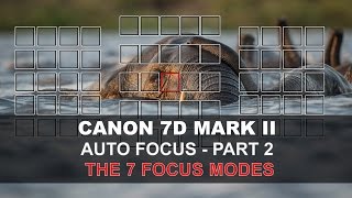 Canon 7D Mark II Auto Focus  Part 25 The 7 Focus Modes [upl. by Trin323]