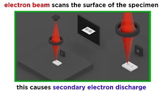 Electron Microscopy TEM and SEM [upl. by Novyad]