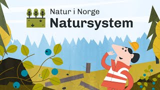 Dette må du vite om Natursystem [upl. by Deevan]