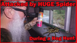 vlog Hog Hunting Rio Grande City Texas Starr County [upl. by Eadmund]