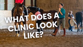 What is an Emotional Horsemanship Clinic [upl. by Landing]