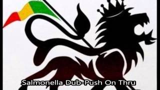 Salmonella Dub  Push On Thru [upl. by Sinnelg]