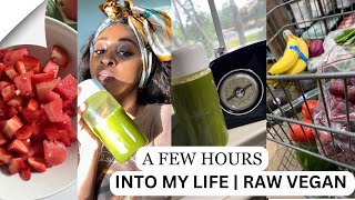 What I Do In A Day As A Raw Vegan  SelfDiscovery amp SelfAcceptance [upl. by Eemaj]