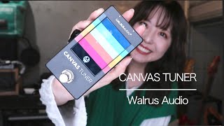 「Walrus audio CANVAS TUNER 」 [upl. by Boleyn]