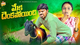 మేక దెంకపోయింది MEKA DENKAPOYINDI VILLAGE COMEDY SHORT FILM MOUNIKAYADAV MRMALLIKHARJUN [upl. by Mariska]