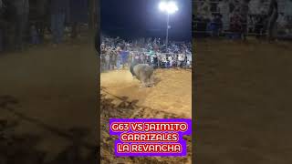 G63 VS JAIMITO CARRIZALES toros jaripeo rodeo cow g63 ranchoelaguaje [upl. by Westley852]