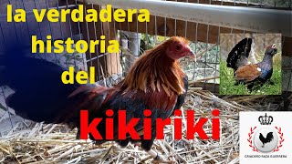 la verdadera historia del gallo kikiriki [upl. by Milty]