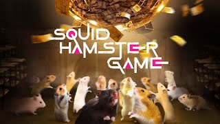 SQUID HAMSTER GAME 1 [upl. by Dlaregztif]