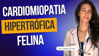 CARDIOMIOPATIA HIPERTRÓFICA FELINA [upl. by Mazonson]