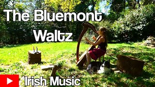 The Bluemont Waltz trad irlandais  Harp Celtic Video  Live [upl. by Tierza]