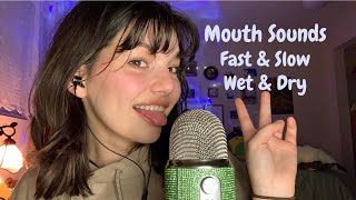 ASMR  Upclose Fast and Slow Mouth Sounds Wet and Dry and Hand Movements  Pure Mouth Sounds [upl. by Rusticus]