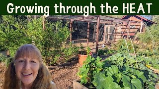 Veggie Garden TOUR  August 2024  TIPS for Growing  Pumpkin Squash Melon Tomatillos More [upl. by Proudfoot]