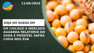 Soja em queda em Chicago aguardando relatório do USDA que pode confirmar safra cheia nos EUA [upl. by Neved814]