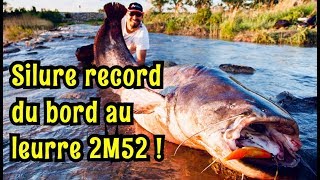 SILURE RECORD PERSO 2M52 [upl. by Arola539]