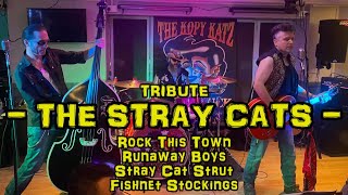 A Tribute to THE STRAY CATS 🎵 🎶 Rock This Town Runaway Boys Stray Cat Strut amp Fishnet Stockings [upl. by Sandy99]