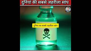 विश्व का सबसे जहरीला सांपverydangeroussnake poisonoussnakeinlandtaipanfearssnakefacts [upl. by Nireil]