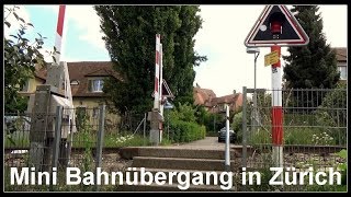 Grosser und kleiner Bahnübergang bei der Haltestelle Zürich Schweighof [upl. by Packston216]