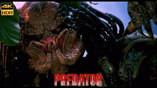 THE PREDATOR quotBestquot Clips 2018 [upl. by Salim]