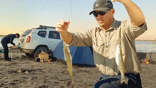 Campamento en la laguna Pesca pejerreyes dentudos y dobletes Cocina sobre piedray más [upl. by Ianthe870]