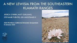 A new Lewisia from the southeastern Klamath Ranges by Jessica OBrien [upl. by Ahto]