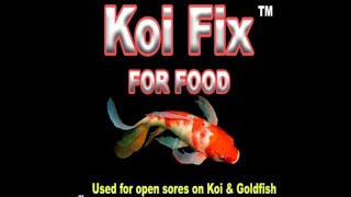 Making Medicated Food for Koi using Koi Fix Powder [upl. by Collbaith]