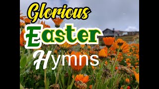 Glorious Easter HymnsSongsKriss Rhoda SheshyLifebreakthroughMusic [upl. by Bertrand]