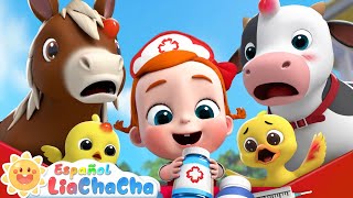 Los Animales de Granja Se Lastimaron  LiaChaCha en Español  Canciones Infantiles [upl. by Llabmik990]