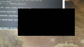 Raspberry Pi 4 VPN How to Install NOIP DUC on Raspbian OS [upl. by Suirauqed]