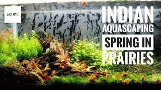 PLANTED TANK SPRING IN PRAIRIES [upl. by Alton]