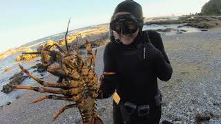 South Fiordland Hunting amp Diving  Westies Hut 2021 [upl. by Benjy]