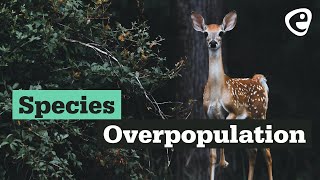 Species overpopulation [upl. by Wallack]